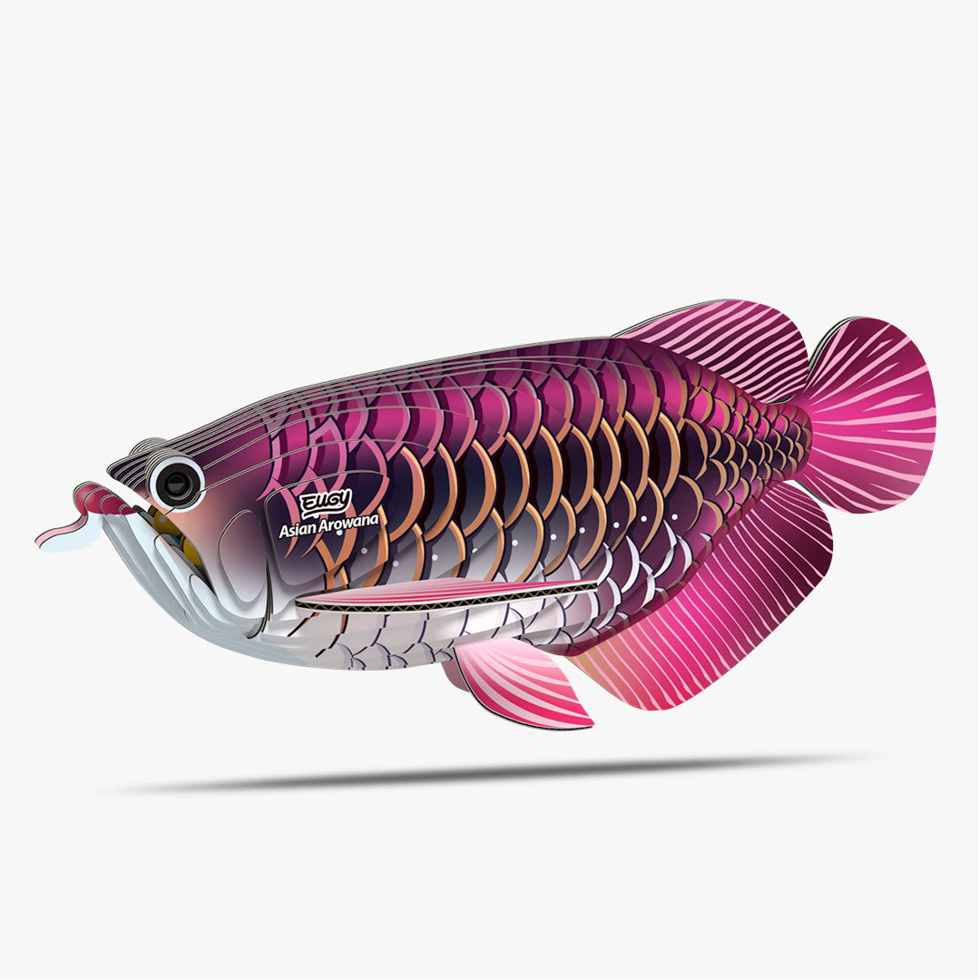 118 Dragonfish