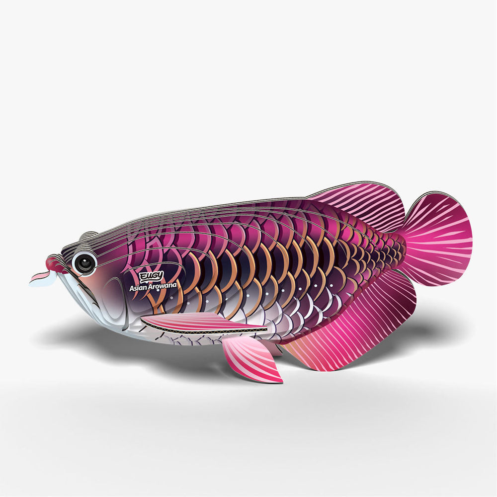 118 Arowana asiática