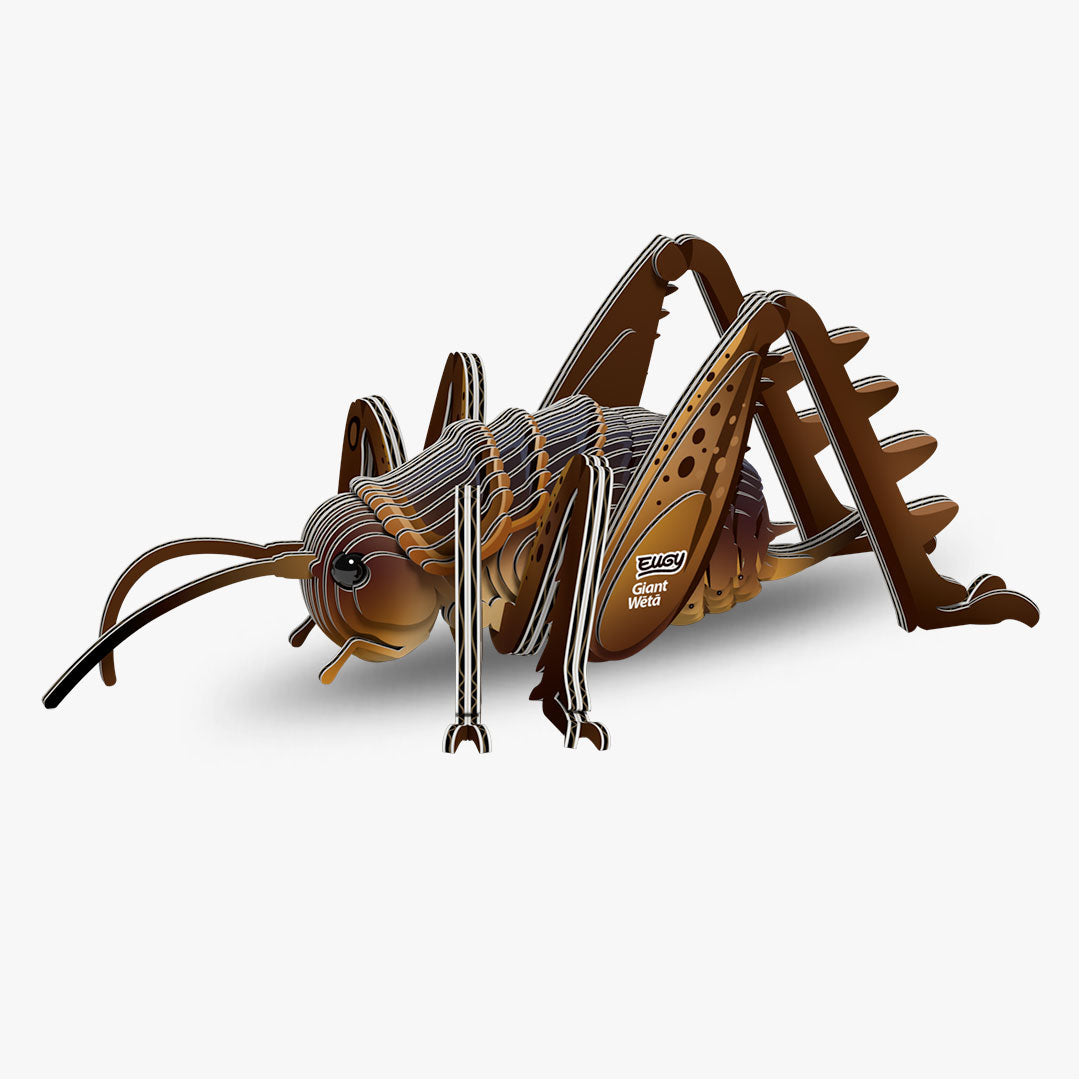 119 Giant weta