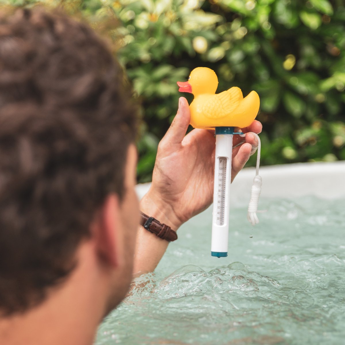 thermometre flottant animal