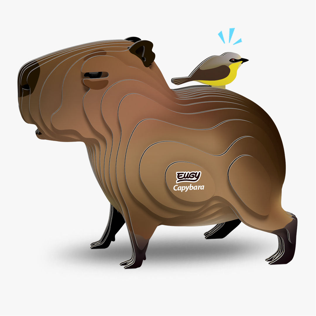 120 Capybaras