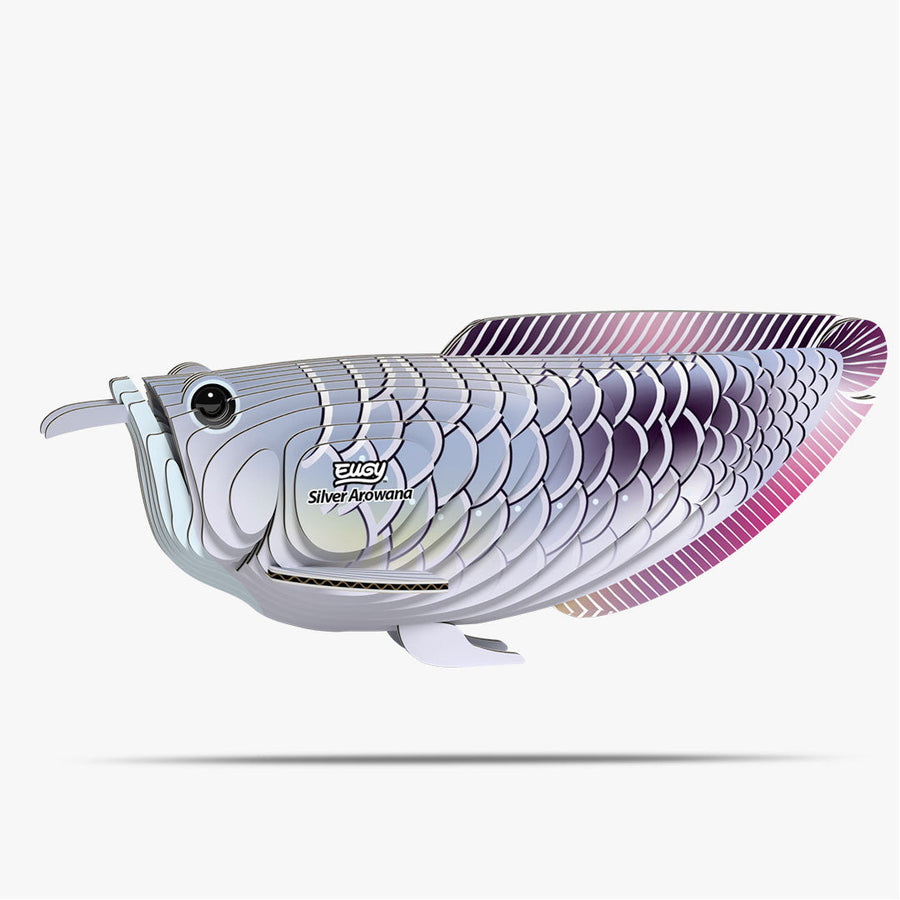 Silber-Arowana
