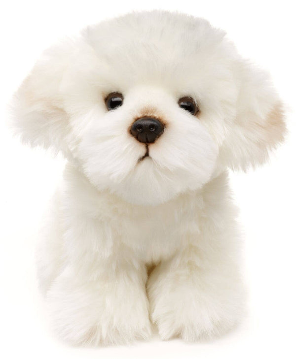 Chien maltais - 18 cm (hauteur) - peluche Uni Toys