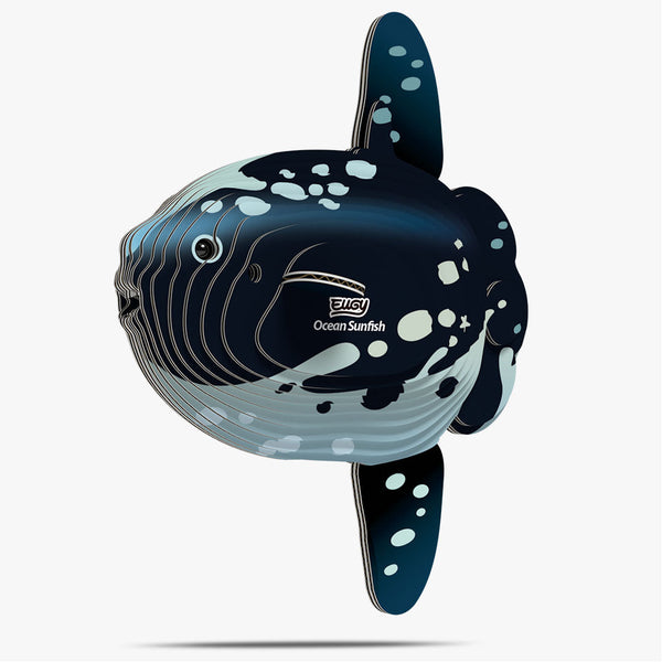 132 Poisson-lune
