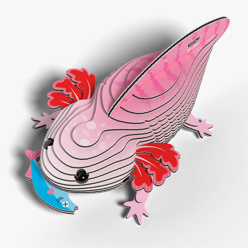 139 Axolotl