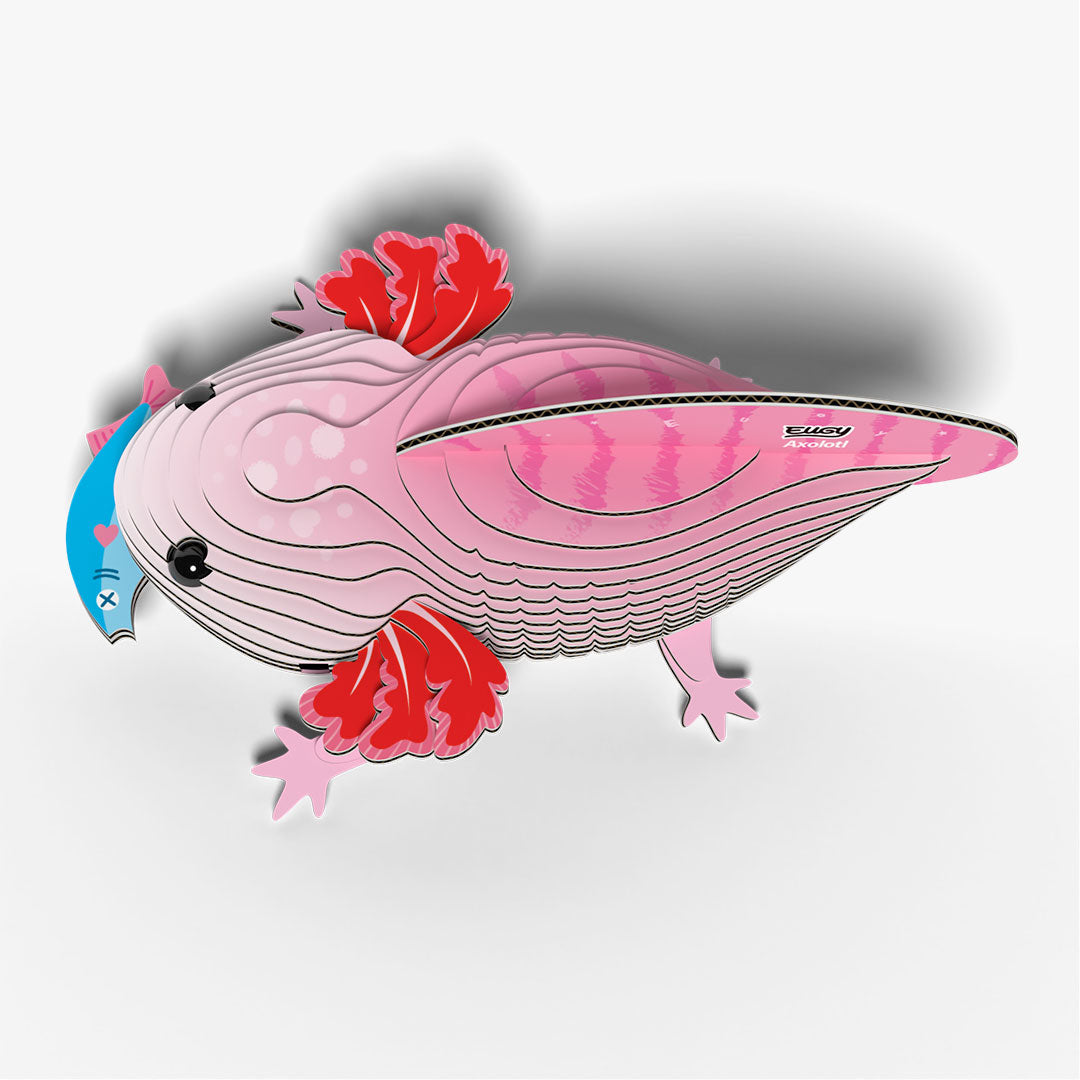 139 Axolotl
