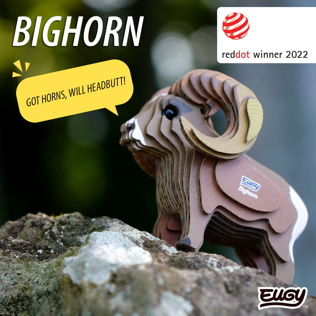 145 Mouflon des Rocheuses