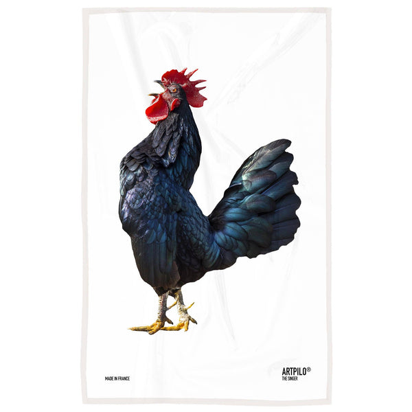 Strofinaccio Signor Gallo