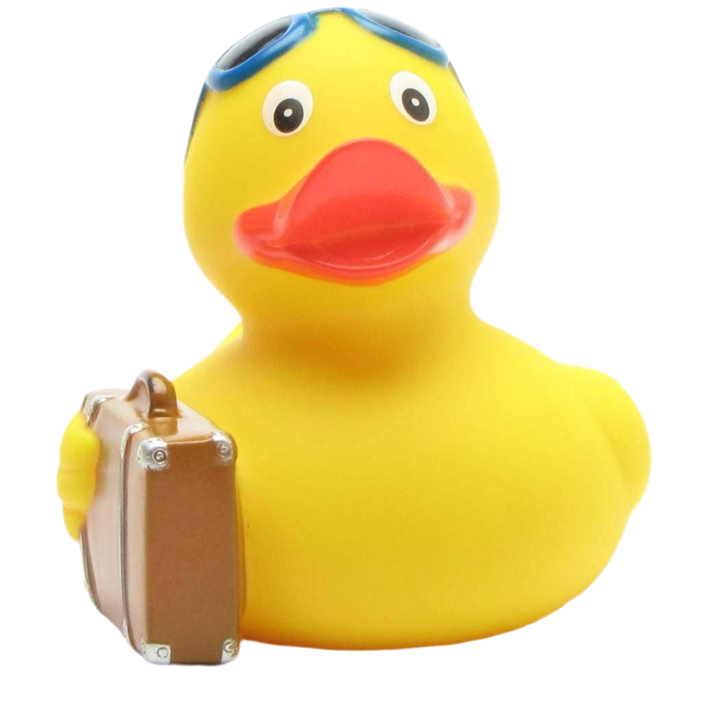 Traveling Duck