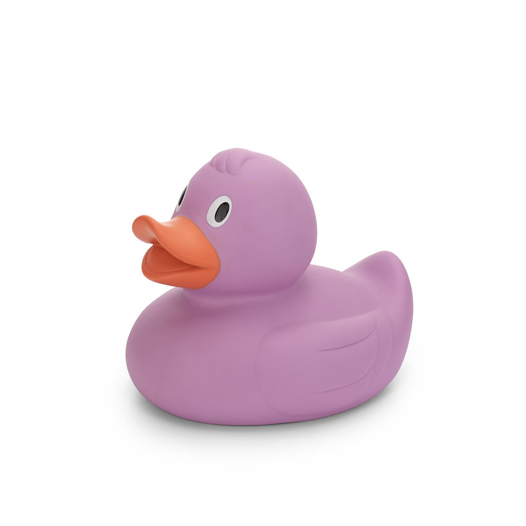 Canard Mauve XL