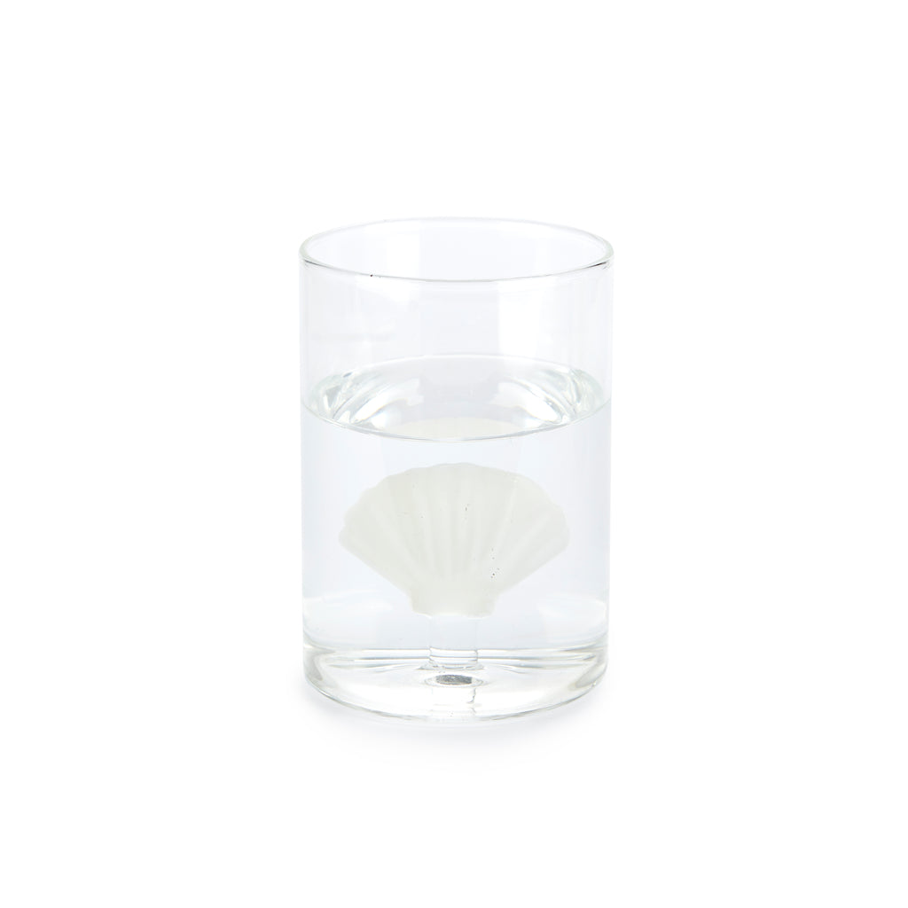 Verre Atlantis Shell