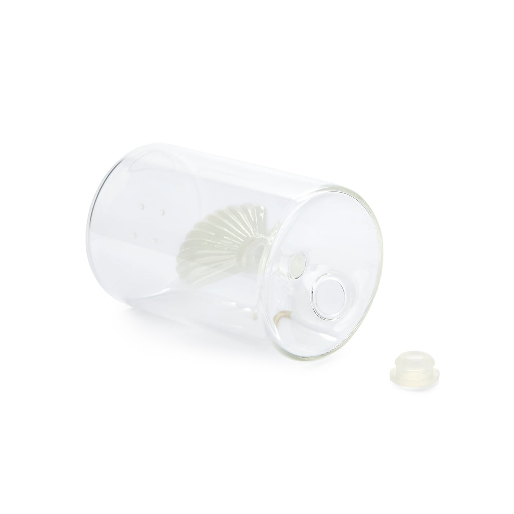Salière Atlantis Shell