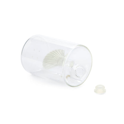 Salière Atlantis Shell