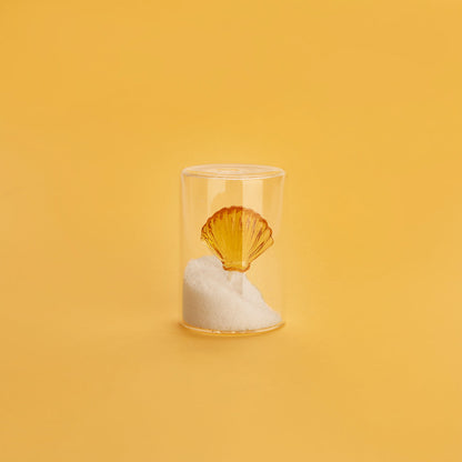 Salière Atlantis Shell
