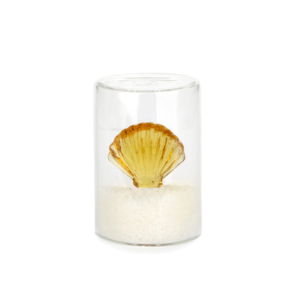 Salière Atlantis Shell