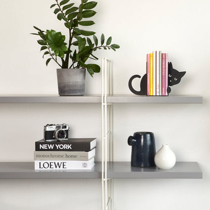 Hidden Cat Double Bookend