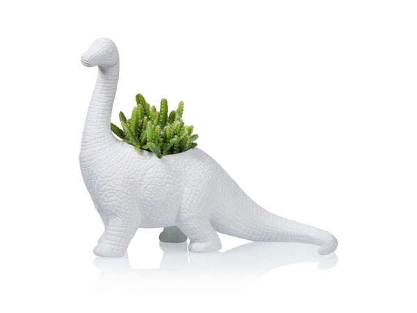 Plantosaurus white porcelain dinosaur planter with succulent plant