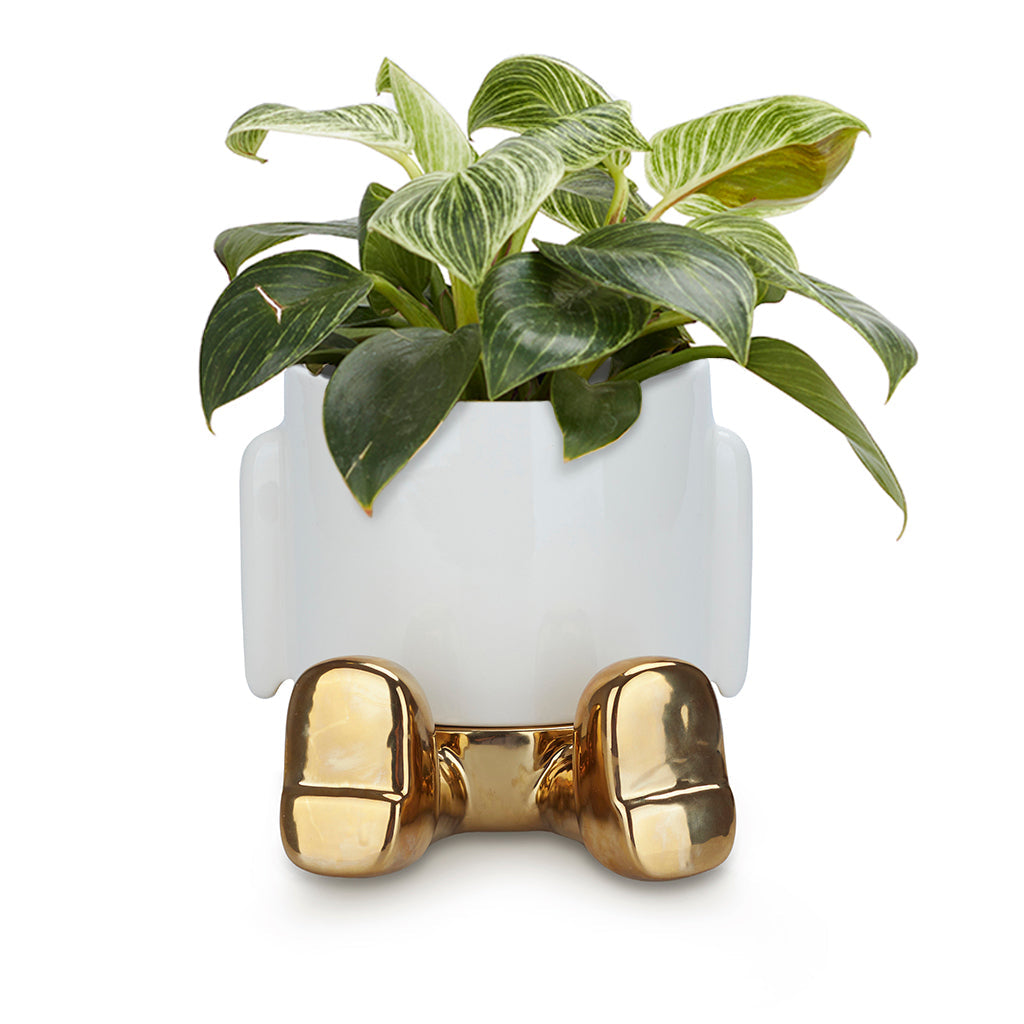 Pot de fleurs Mr. Sitty