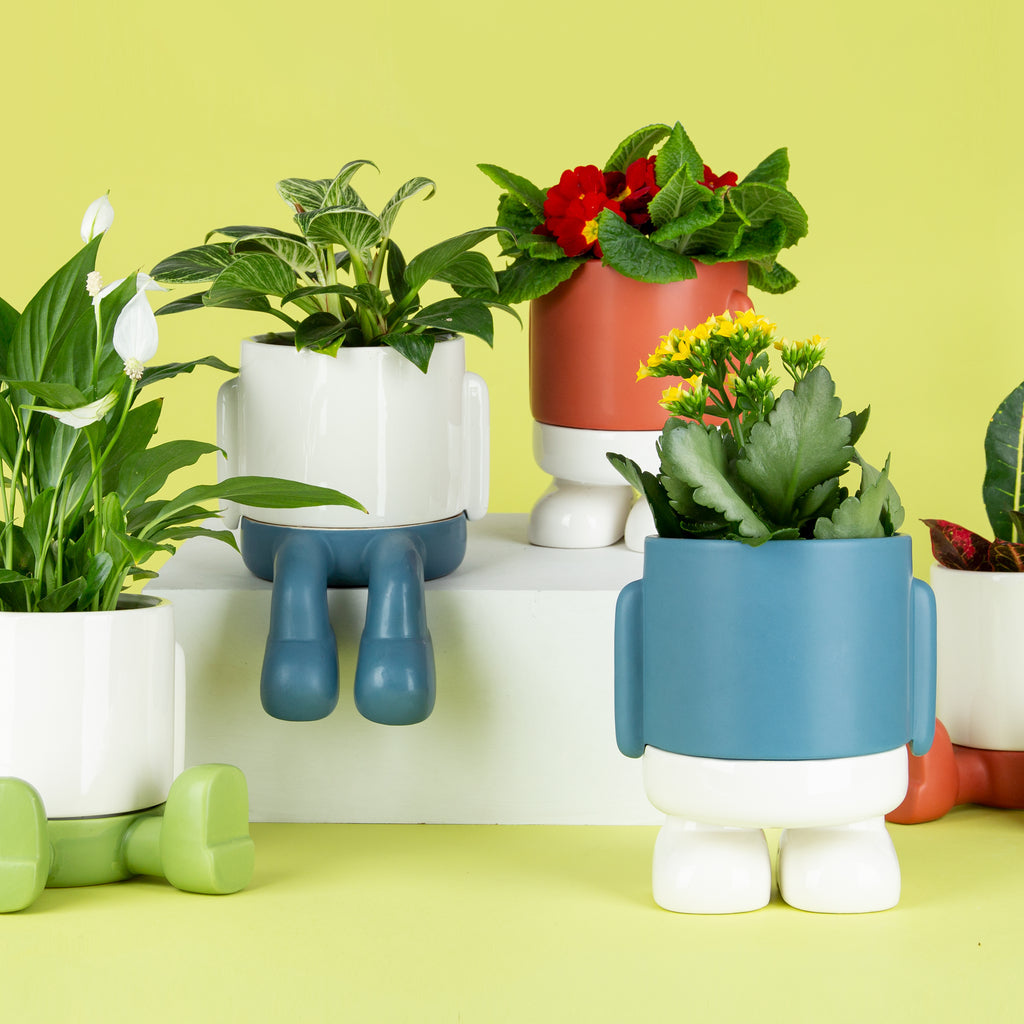 Pot de fleurs Mr. Standy