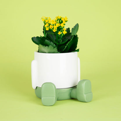 Pot de fleurs Mr. Sitty