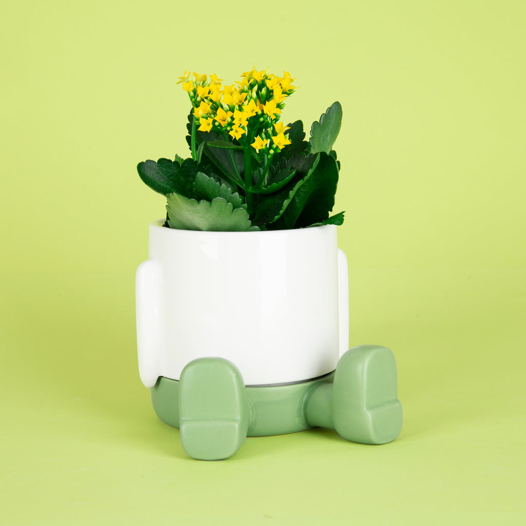Mr. Sitty Plant Pot