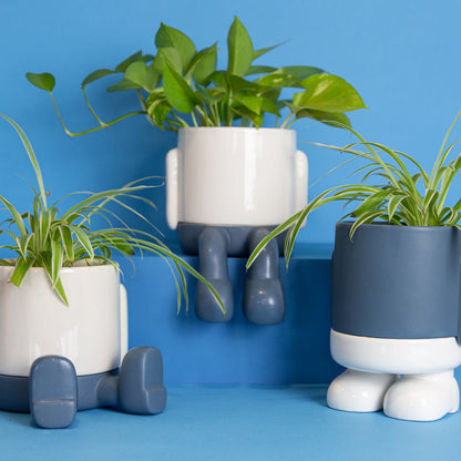 Pot de fleurs Mr. Standy