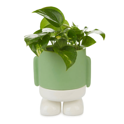Pot de fleurs Mr. Standy