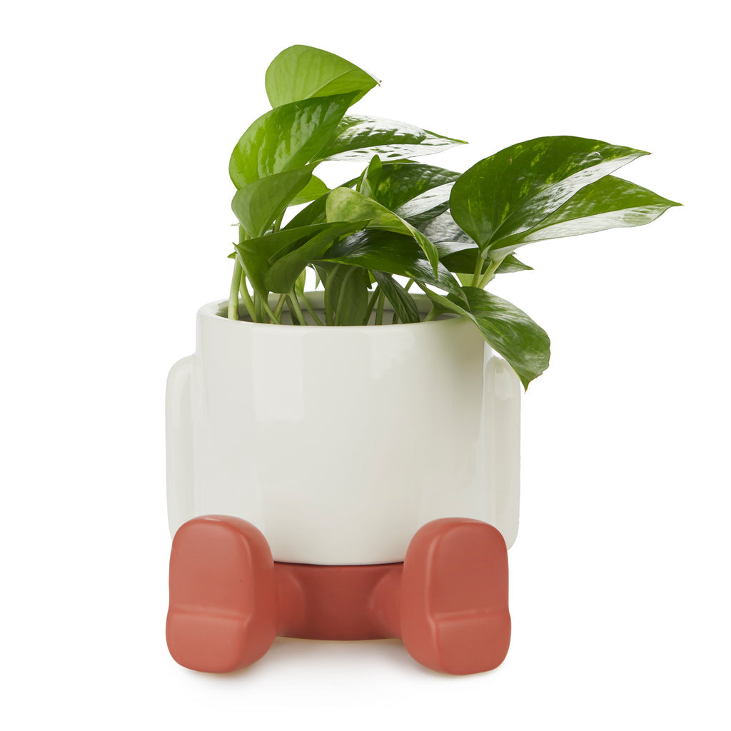 Pot de fleurs Mr. Sitty