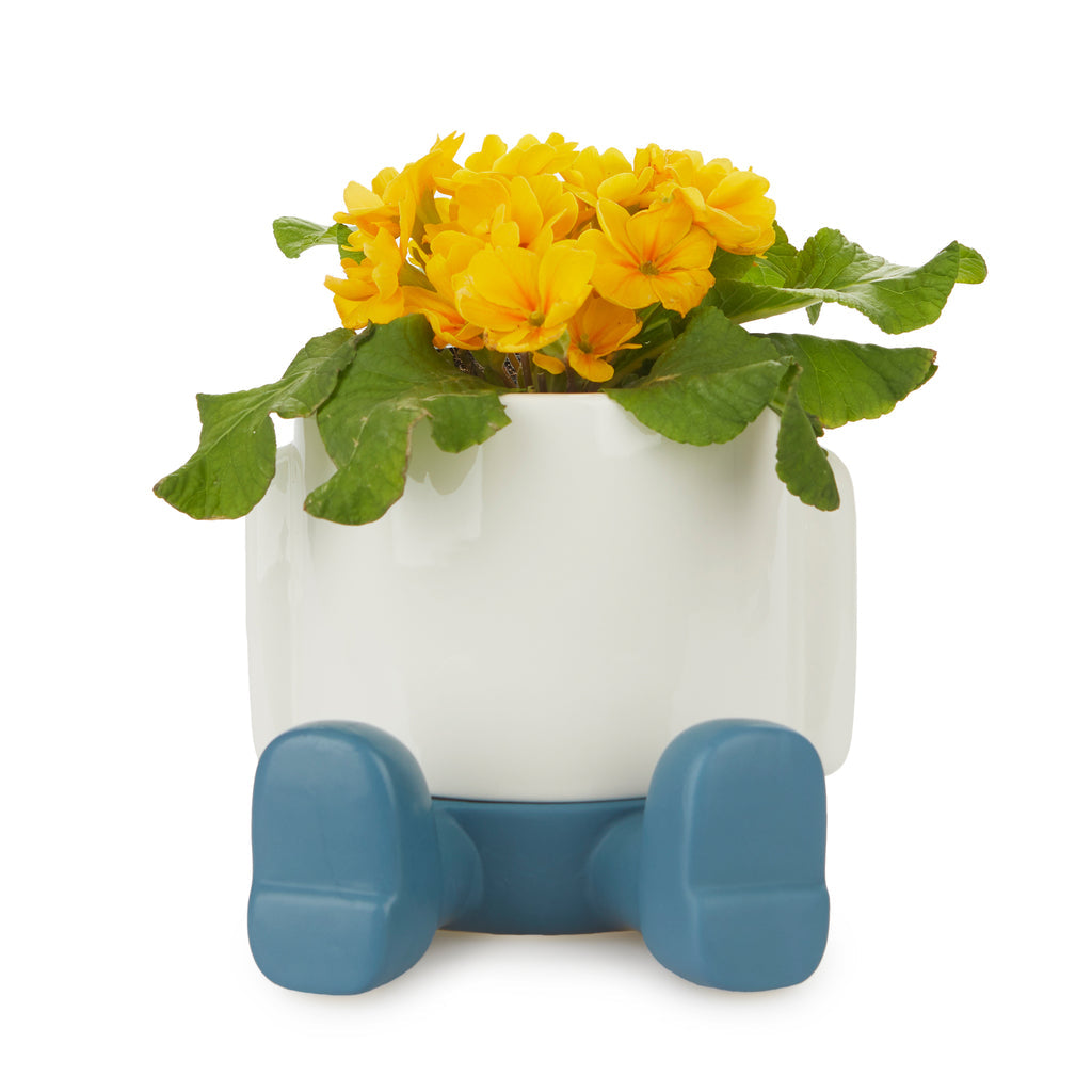 Mr. Sitty Plant Pot
