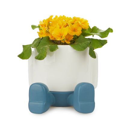 Mr. Sitty Plant Pot
