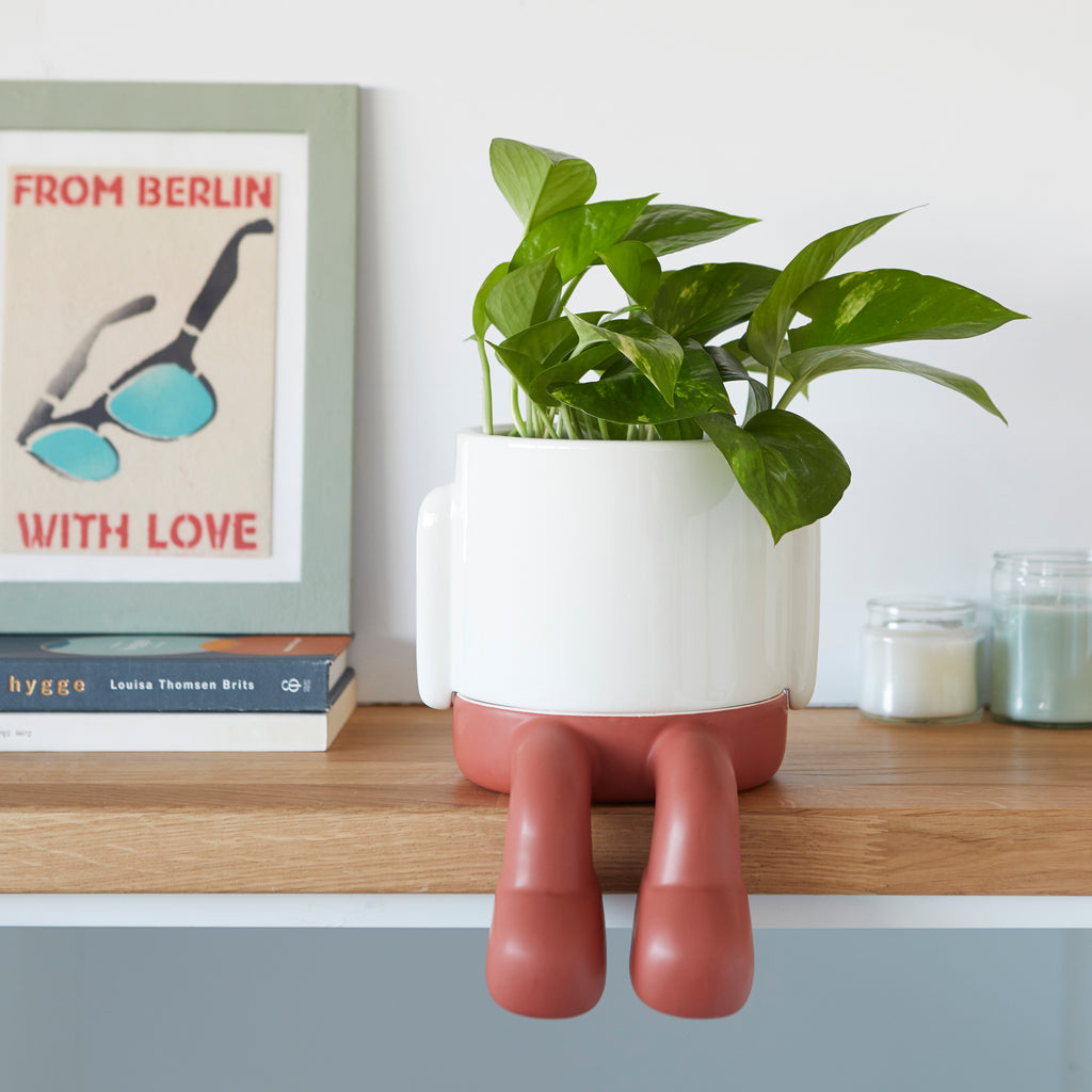 Mr. Dangly Plant Pot