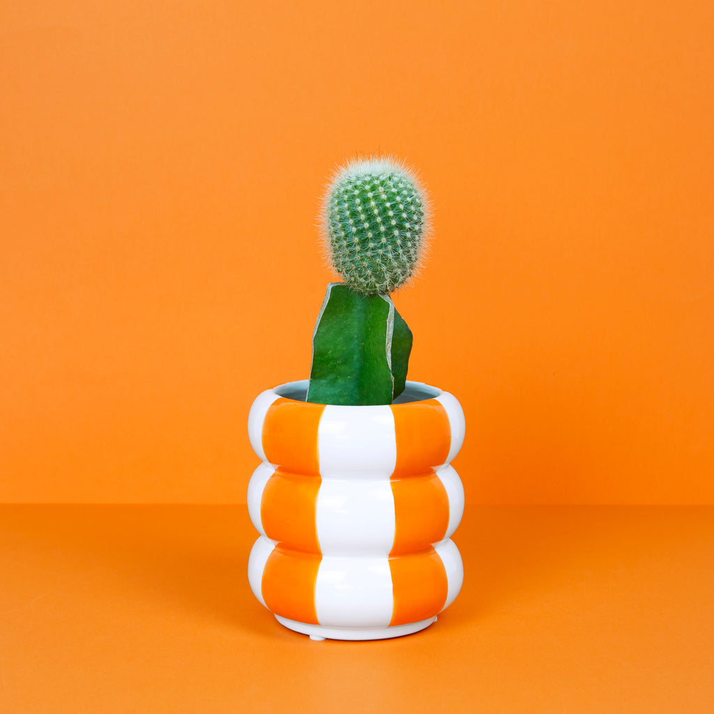 Pot de fleurs Floats orange