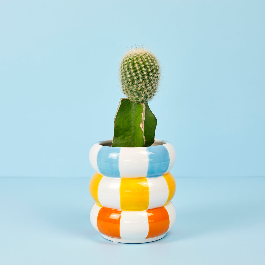 Pot de fleurs Floats multicolore