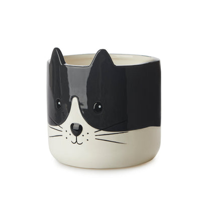 Cache-pot chat