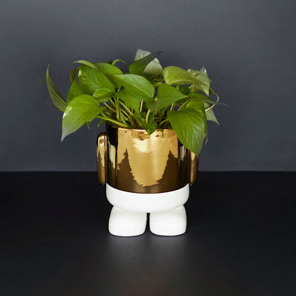 Pot de fleurs Mr. Standy
