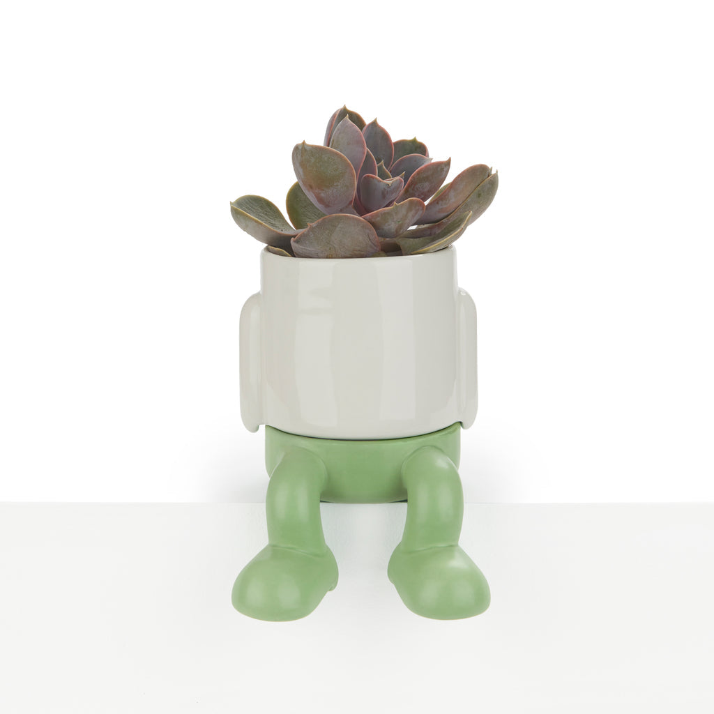 Pot de fleurs Mini Mr. Dangly