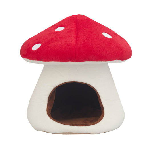 Mycelium Bed