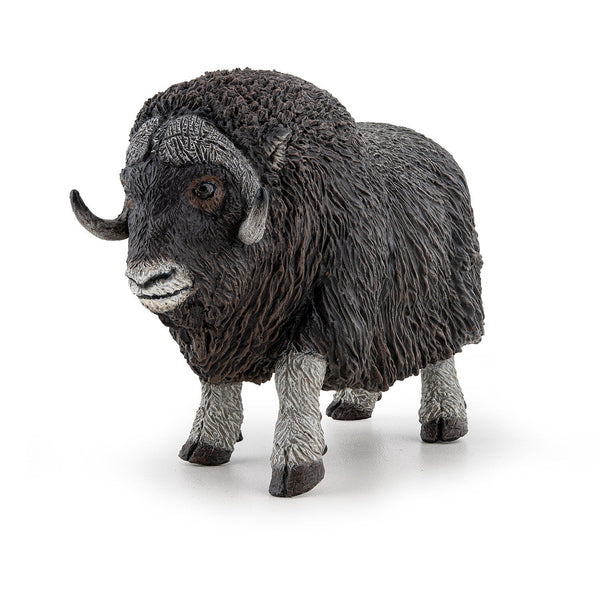 Figurine Bœuf musqué Papo - animal sauvage