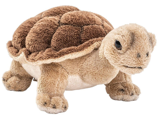 Peluche Tortue