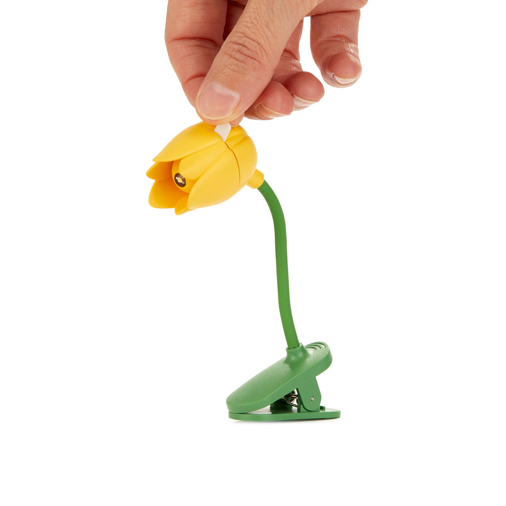 Lumiere de lecture Tulipe