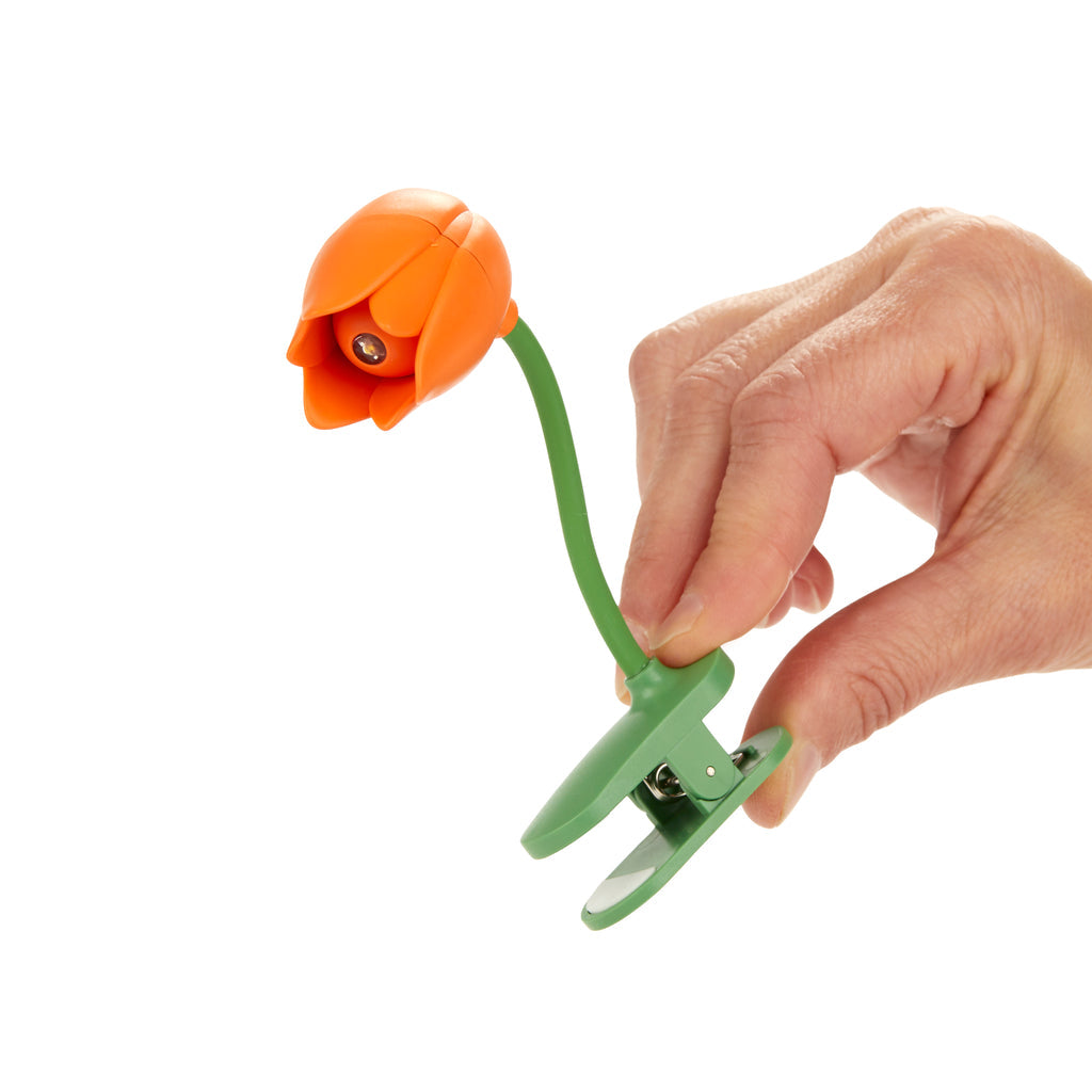 Lumiere de lecture Tulipe