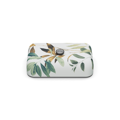 Lunch box | Tivoli