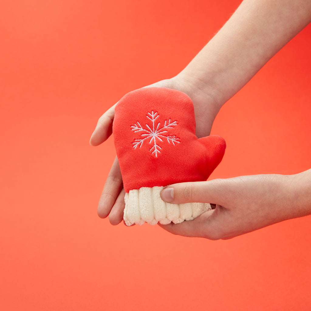 Mitten Hand Warmer