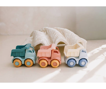 Ensemble de jouets de plage Animaux sauvages