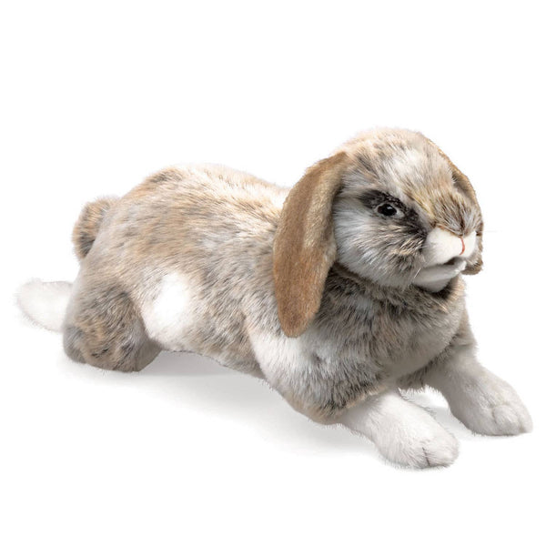 Marionnette à main Lapin à oreilles pendantes 2892/ Lapin, Holland Lop Folkmanis réaliste