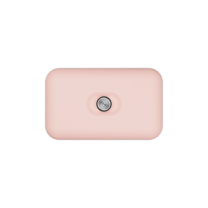 Lunch Box | Dusty Pink