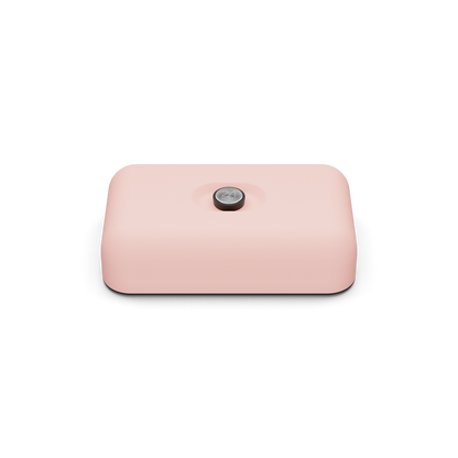 Lunch Box | Dusty Pink