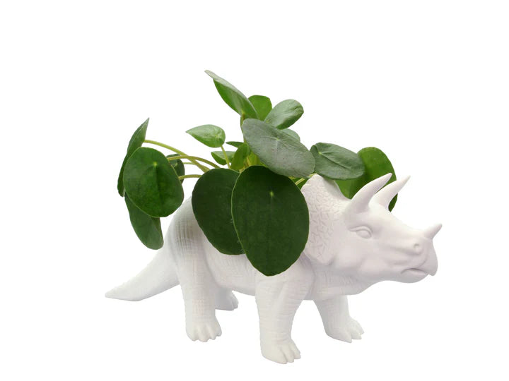 Vaso di fiori a forma di dinosauro Tricerapot