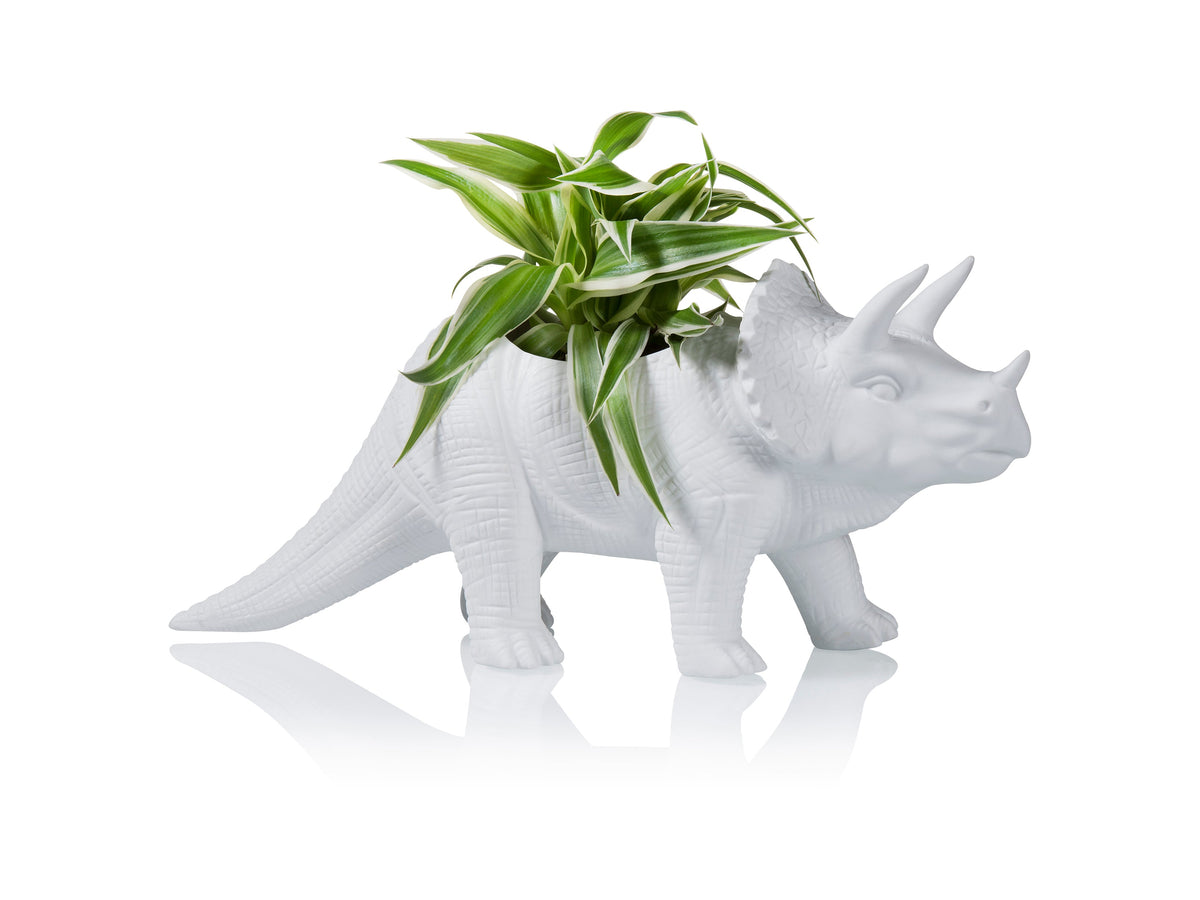 Pot de Fleur Dinosaure Tricérapot