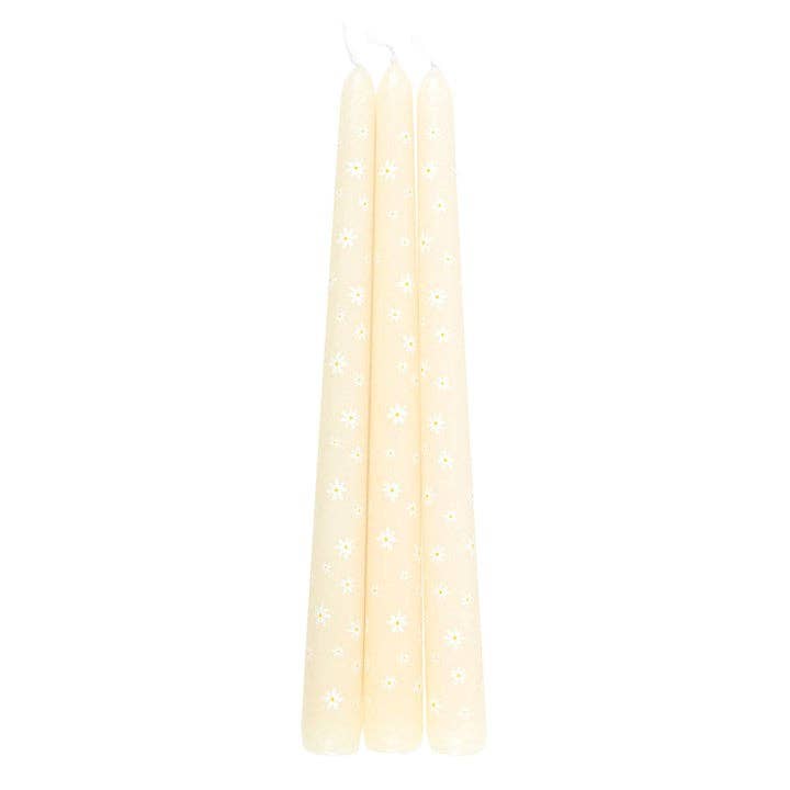 Set of 3 tapered candles Carrot Patch White Daisy